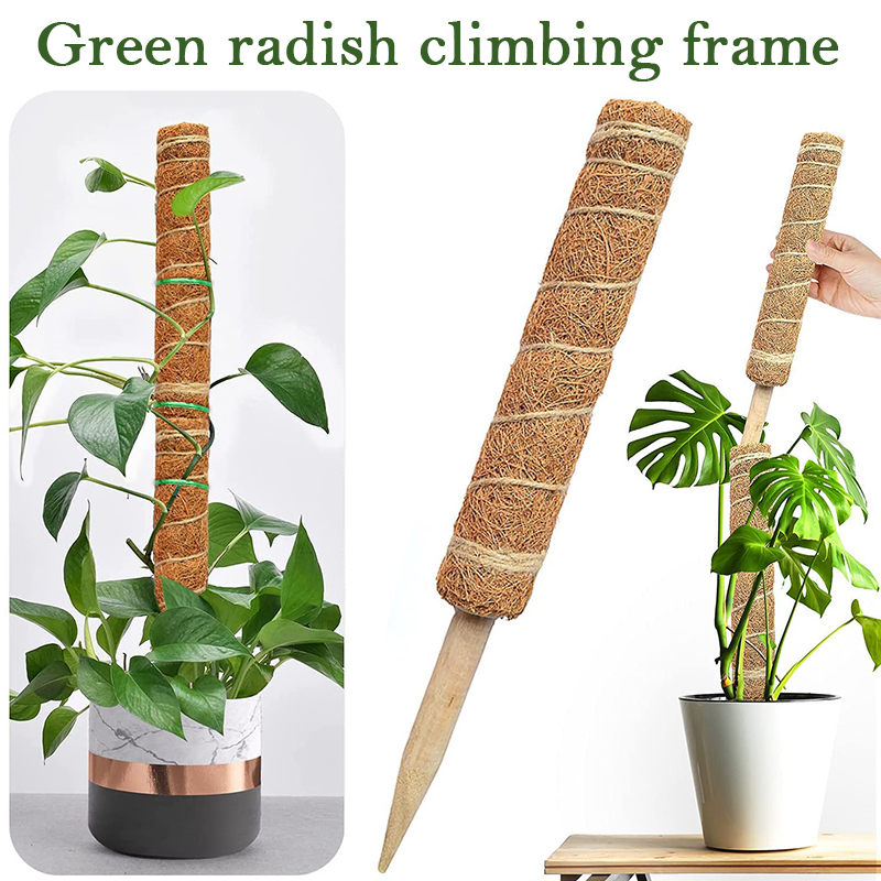 Tiang Totem Sabut Kelapa 30/40 - Sphagnum Moss Dry ulasan dan harga