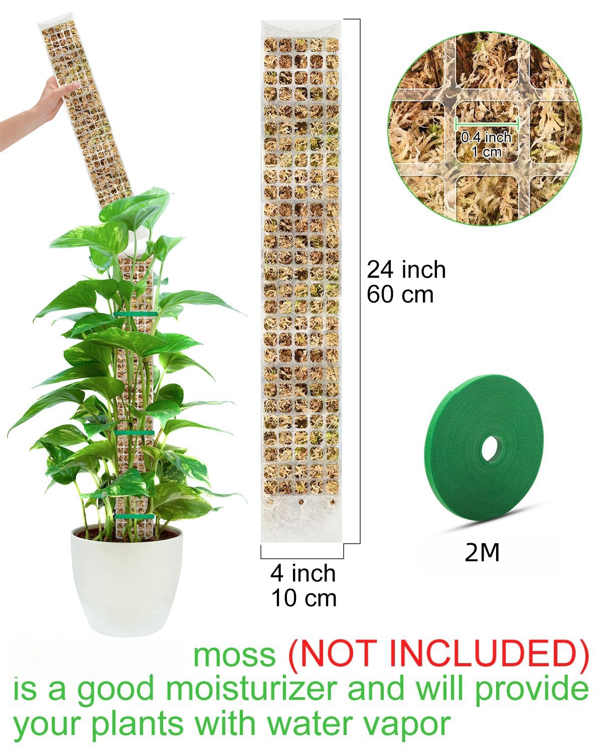Tanaman Moss tiang taman subje - Sphagnum Moss Dry ulasan dan harga